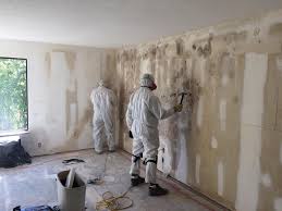 Hilbert, WI Mold Removal Company